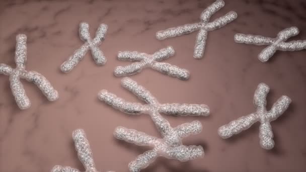 Počítač Generován Umělec Vykresluje Lidský Chromozom — Stock video