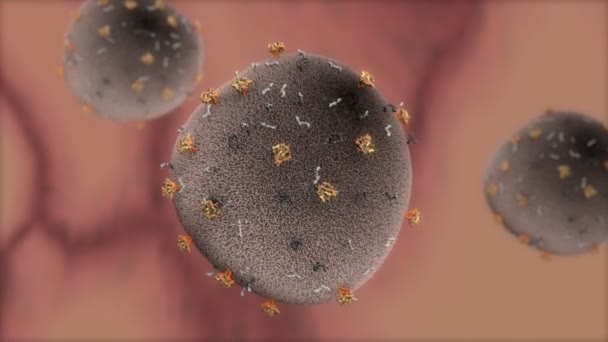 Bilgisayar Oluşturuldu Detaylandırılmış Hiv Virüs Hücresi — Stok video