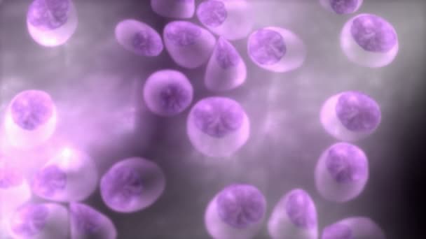 计算机产生的血浆细胞 — 图库视频影像
