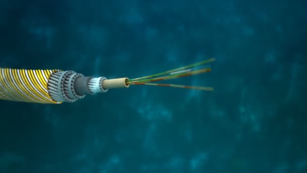 Komputer Dibuat Kabel Komunikasi Bawah Laut — Stok Video