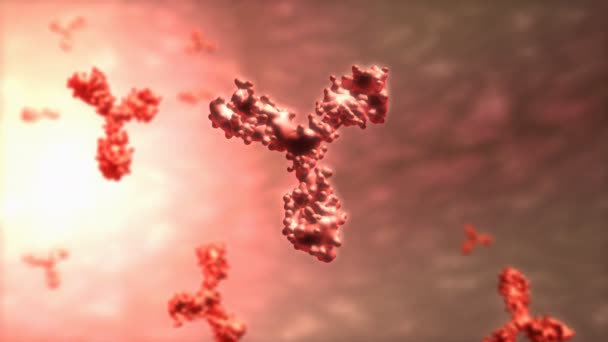 Παραγόμενο Από Υπολογιστή Κύτταρο Ανθρώπινου Αντισώματος Μικροσκοπικό — Αρχείο Βίντεο