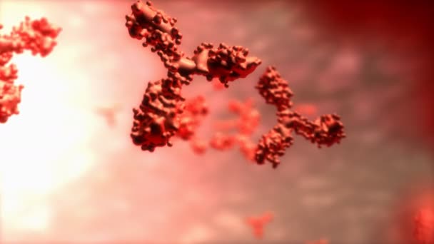 Computer Generiert Zelle Des Menschlichen Antikörpers Mikroskopisch — Stockvideo