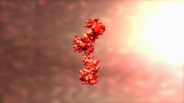 Gegenereerde Computer Cel Van Menselijk Antilichaam Microscopisch — Stockvideo