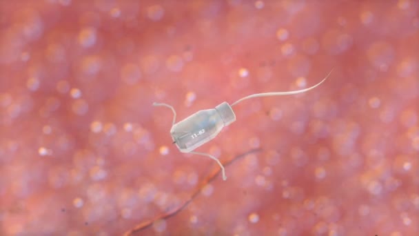 Sanatçı Tasarımı Mikroskobik Görüntü Insan Vücudundaki Tümör Hücresi Üzerinde Tıbbi — Stok video