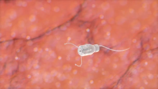 Művész Koncepció Renderelés Mikroszkopikus Kép Orvosi Nanobot Úszás Emberi Testben — Stock videók