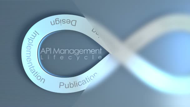 Api Management Lifecycle Concept Animation Background — Stock Video