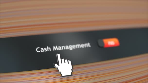 Anwendungssystem Zur Einstellung Des Cash Managements — Stockvideo