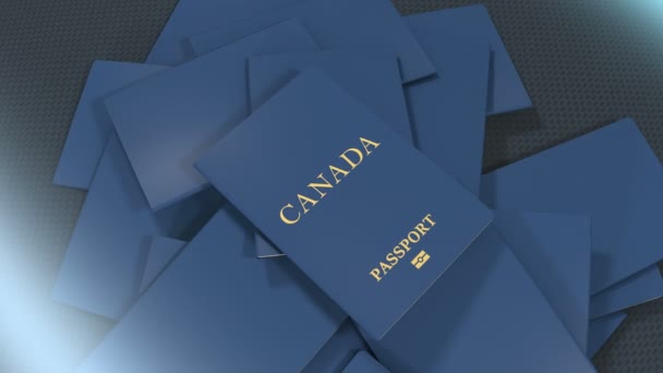 Umělec Vykreslování Kanada Cestovní Pas — Stock video