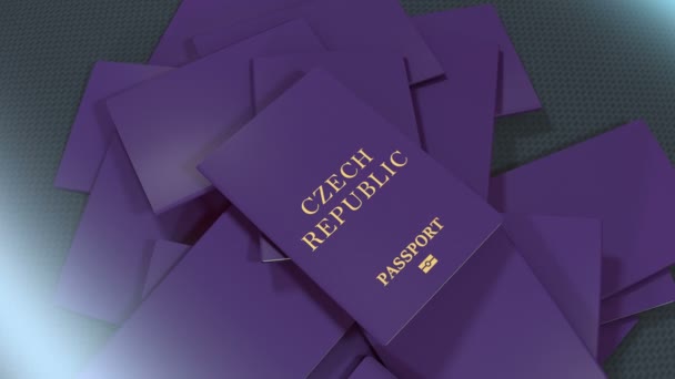 Artist Rendering Czech Republic Travel Passport — Stock Video
