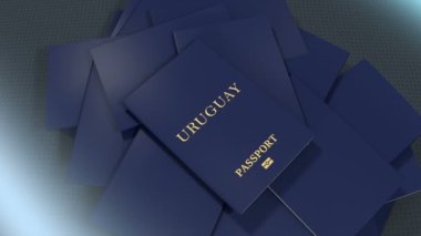 Artist rendering Uruguay travel passport.
