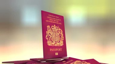 Birleşik Krallık seyahat pasaportu hazırlayan sanatçı.