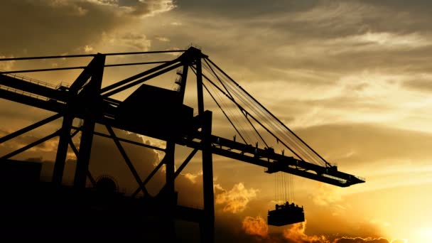 Sea Port Cranes Sunset — Stok Video