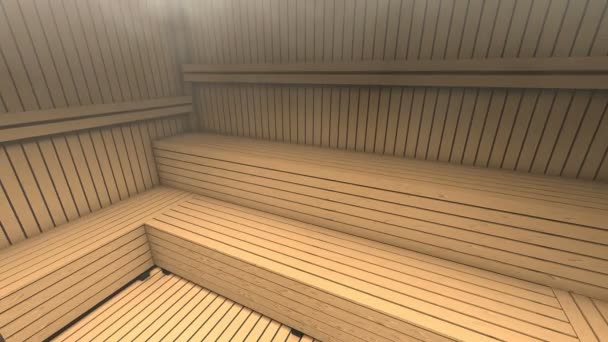 Sauna Dan Ruang Uap Liburan Dan Relaksasi — Stok Video