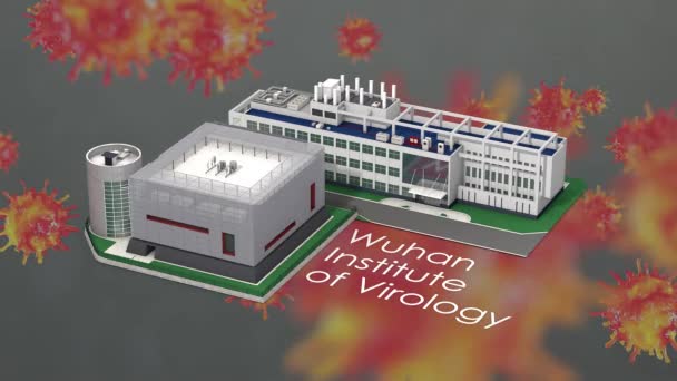 Jun 2020 Nur Redaktionelle Nutzung Animation Institut Für Virologie Wuhan — Stockvideo