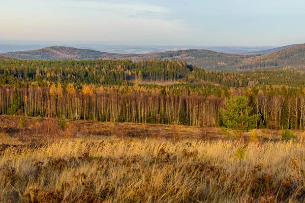 Çek CHKO Brdy Ormanı renklerle dolu.