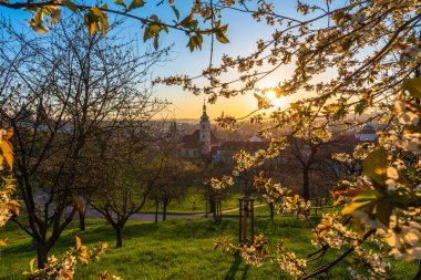İlkbaharın başlarında Prag şehir merkezindeki Petrin tepesinde ağaçlar çiçek açtı..