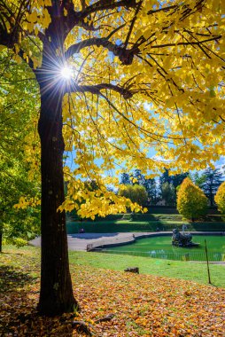 Floransa, İtalya, Ekim 2021 - Floransa 'daki Pitti Sarayı içindeki Boboli Bahçeleri.