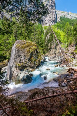 Avusturya 'daki Hohe Tauern Ulusal Parkı' ndaki Dorferbach nehrinde vahşi akıntılar.