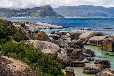 Güney Afrika 'da Cape Town yakınlarında Penguen kolonisi olan Boulders Körfezi plajı..