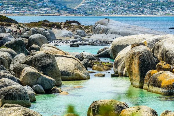 Güney Afrika 'da Cape Town yakınlarında Penguen kolonisi olan Boulders Körfezi plajı..