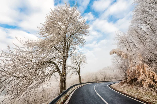 Árvores Congeladas Pela Estrada Krusne Hory República Checa Inverno — Fotografia de Stock
