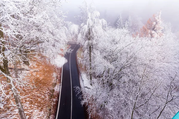 Krusne Hory Çek Cumhuriyeti Nde Kış Günü Ormanlık Alanda Buzla — Stok fotoğraf