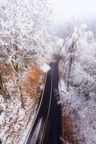 Krusne Hory Çek Cumhuriyeti Nde Kış Günü Ormanlık Alanda Buzla — Stok fotoğraf