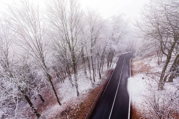 Uma Estrada Floresta Coberta Geada Dia Inverno Krusne Hory Tchecoslováquia — Fotografia de Stock