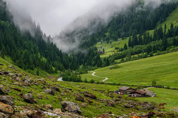 Avustralya 'daki birçok vadiden biri Stubai Alpleri bulutlarda.
