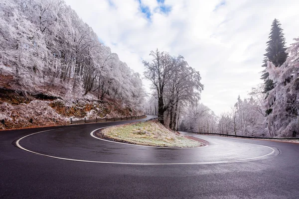 Uma Estrada Curva Floresta Krusne Hory Durante Dia Nebuloso Inverno — Fotografia de Stock