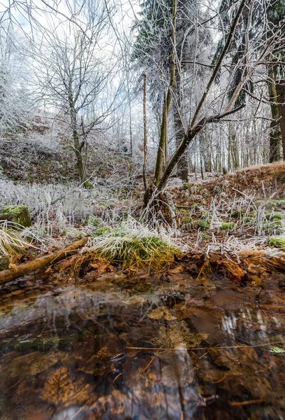Floresta Coberta Geada Dia Inverno Krusne Hory Tchecoslováquia — Fotografia de Stock