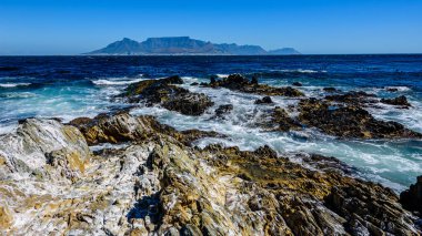 Cape Town 'daki masa dağında Robben Adası' ndan. Kayalık kayalıklar ön planda.