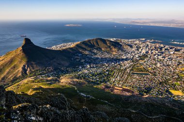Cape Town Şehir Merkezi ve okyanus manzaralı Aslan Tepesi..