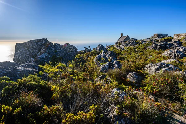 Oben Tafelberg Nationalpark Kapstadt — Stockfoto