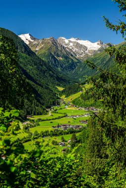 Avusturya Stubai Alpleri 'nde Zuckerhutl Dağı ve Sulzenau Buzulu ile Unterbergtal Vadisi.