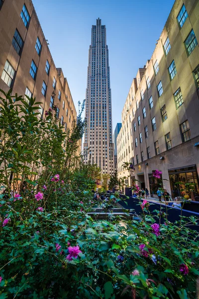 New York Abd Ağustos 2022 Rockefeller Merkezi Nin Önündeki Kanal — Stok fotoğraf