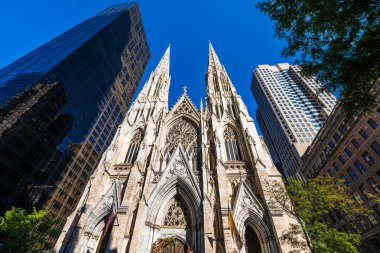 New York 'ta 5. Cadde' deki St. Patrick Katedrali