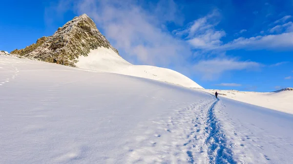 Bergsbestigare Kvinna Närmar Sig Toppen Det Högsta Österrikiska Berget Grossglockner — Stockfoto