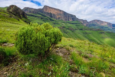 Drakensberg, Orta Afrika platosunu çevreleyen Büyük Kayalık 'ın doğu kısmıdır..