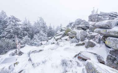 Sisli bir kış gününde Krkonose Milli Parkı 'nda Ptaci Kamen adlı bir kaya oluşumu..