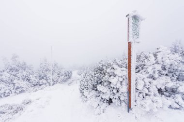 Krkonose Ulusal Parkı 'nın kışın donmuş işareti.