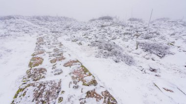 Soğuk kış gününde Krkonose Ulusal Parkı 'nda donmuş Krkonosska Sulh Hakimi Patikası..