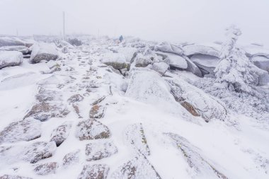 Soğuk kış gününde Krkonose Ulusal Parkı 'nda donmuş Krkonosska Sulh Hakimi Patikası..