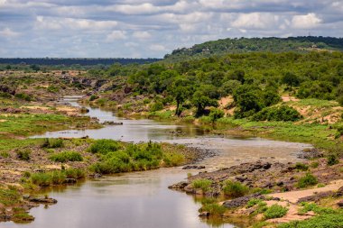 Güney Afrika 'da Kruger NP' de Olifants nehri üzerinde bir manzara.