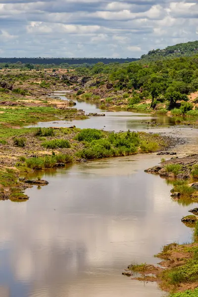 Güney Afrika 'da Kruger NP' de Olifants nehri üzerinde bir manzara.