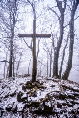 Çek Cumhuriyeti NP 'sinde Ruzovsky Vrch sisli bir kış sabahı karla kaplandı.