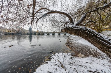 Prag 'da kışın ilk karıyla kaplı küçük bir park..