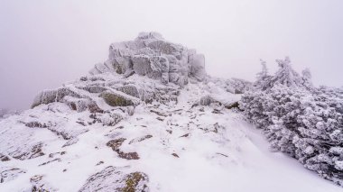 Krkonose NP 'de Krkonosska Sulh Ceza Hakimliği' nde kışın Muzske Kameny adlı donmuş kaya oluşumu.