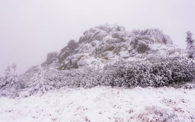 Krkonose NP 'de Krkonosska Sulh Ceza Hakimliği' nde kışın Muzske Kameny adlı donmuş kaya oluşumu.