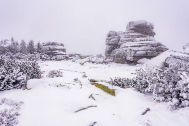 Krkonose NP 'de Krkonosska Sulh Ceza Hakimliği' nde kışın Divci Kameny adlı donmuş kaya oluşumu.